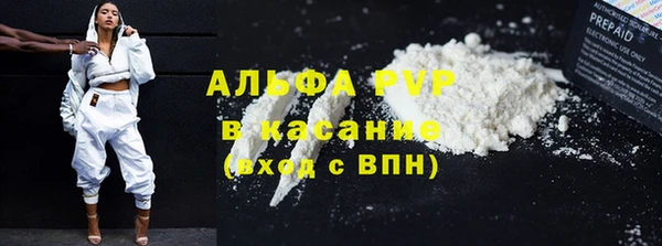 стаф Абинск
