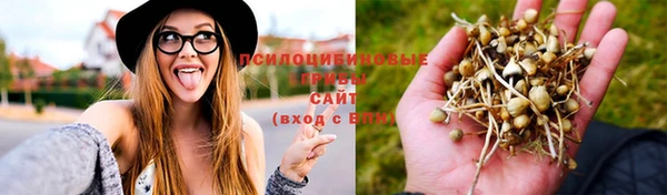 PSILOCYBIN Абдулино