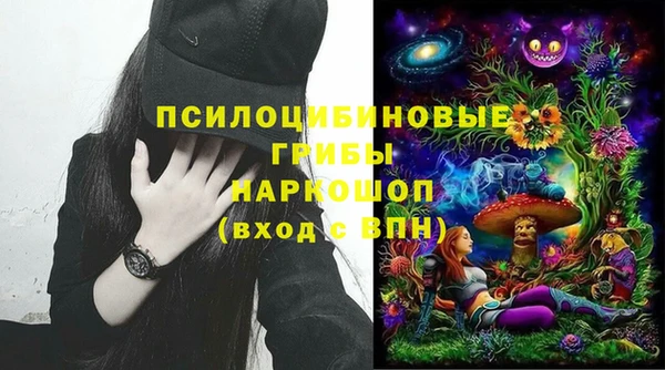 шишки Алексеевка