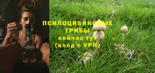 PSILOCYBIN Абдулино