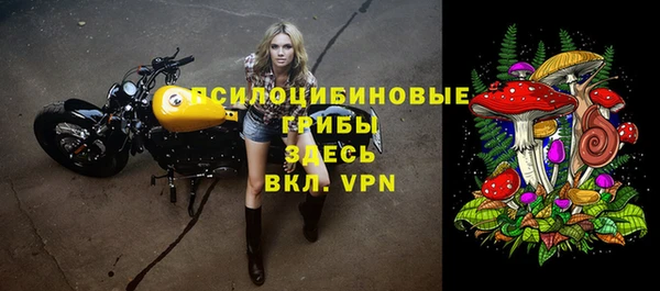 бутират Ростов