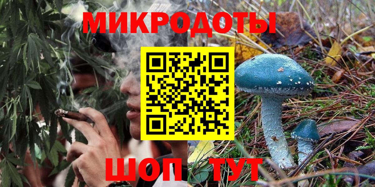 Псилоцибиновые грибы Psilocybe Калининград